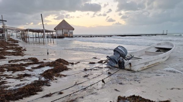 Holbox enfrenta recale de sargazo