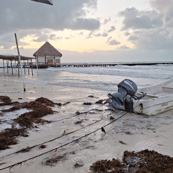 Holbox enfrenta recale de sargazo