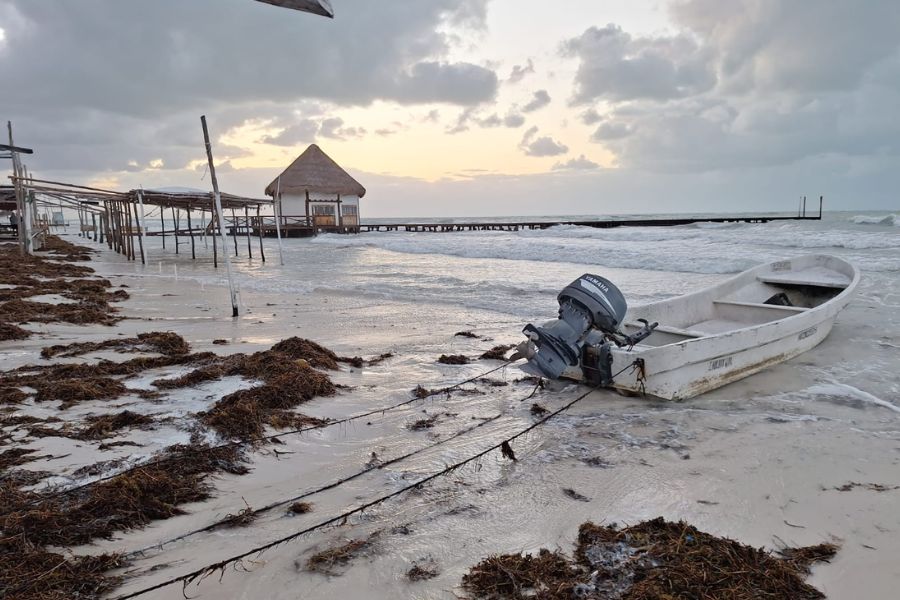 Holbox enfrenta recale de sargazo