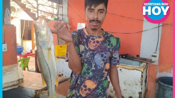 Frentes fríos provocan cierres recurrentes del puerto de Chiquilá