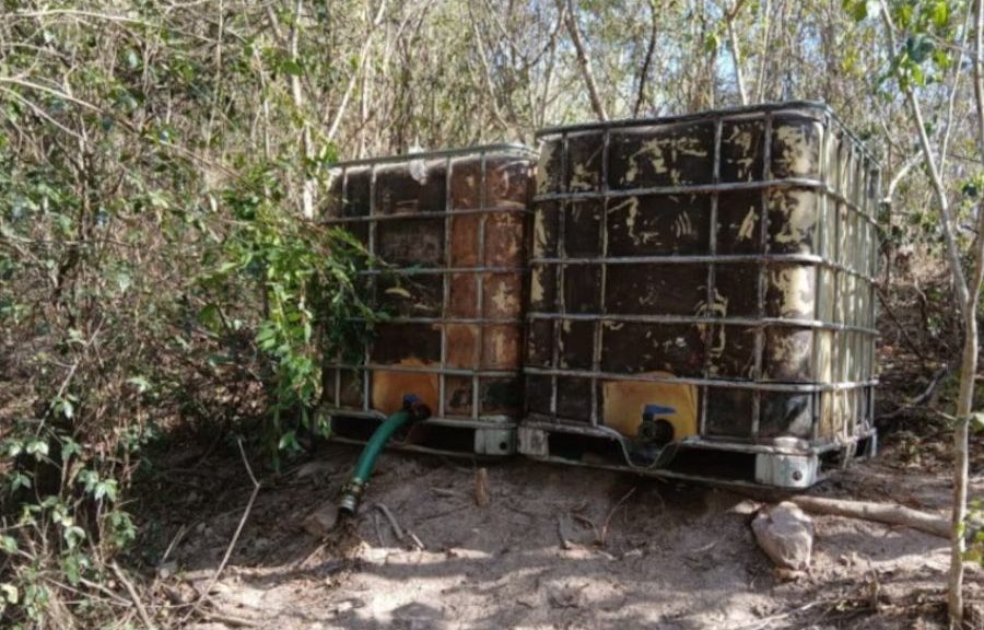 Semar asegura campamento de huachicol y armas en Sinaloa