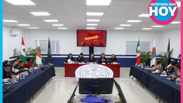 Playa del Carmen activa estrategia anticipada contra el sargazo 2026