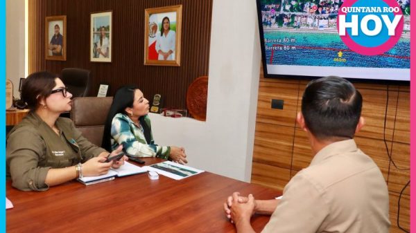 Puerto Morelos refuerza estrategia 2026 contra el sargazo