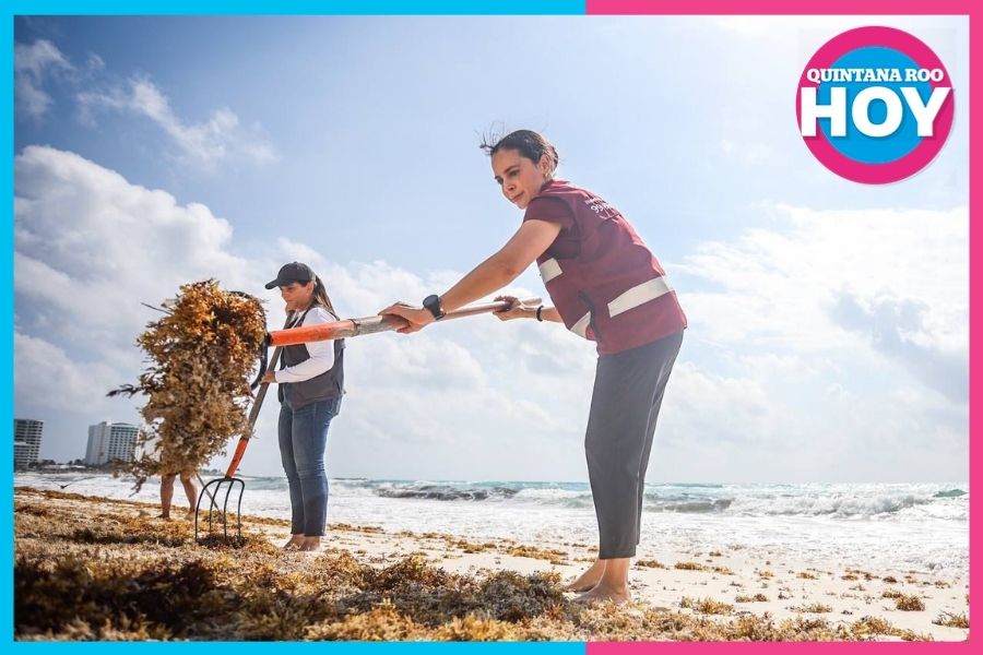 Cuidamos de nuestras playas para los cancuneneses y turistas: Ana Paty