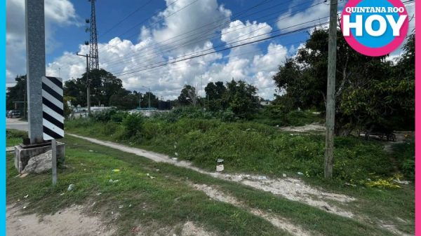 Alertan por aumento de enfermedades de vector en Quintana Roo