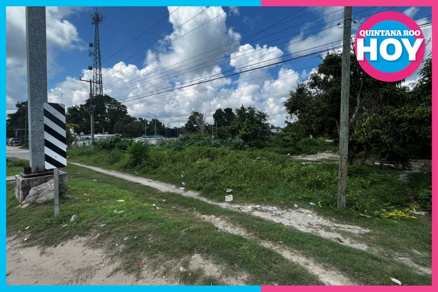 Alertan por aumento de enfermedades de vector en Quintana Roo