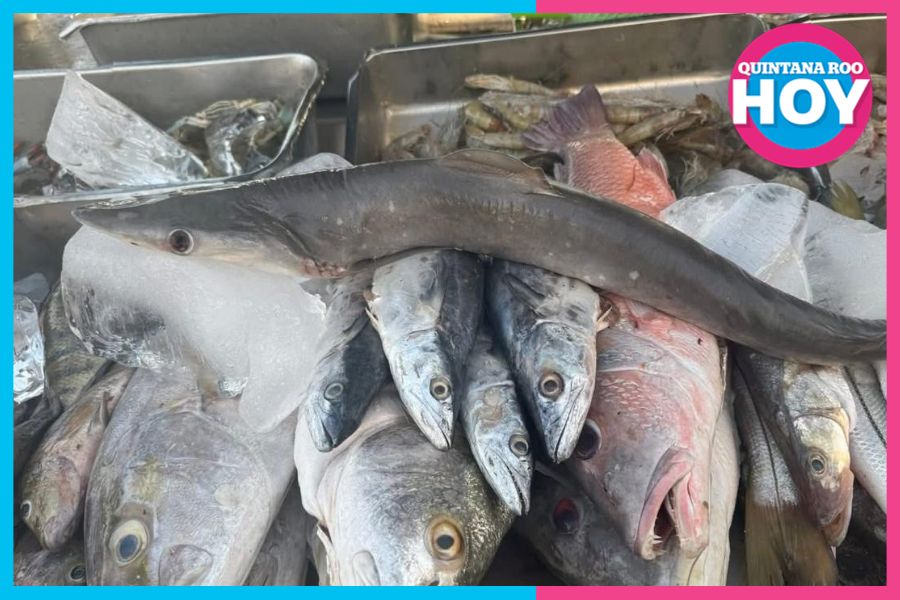 Cuaresma 2026: suben hasta 30% los precios de pescados y mariscos en Cancún.