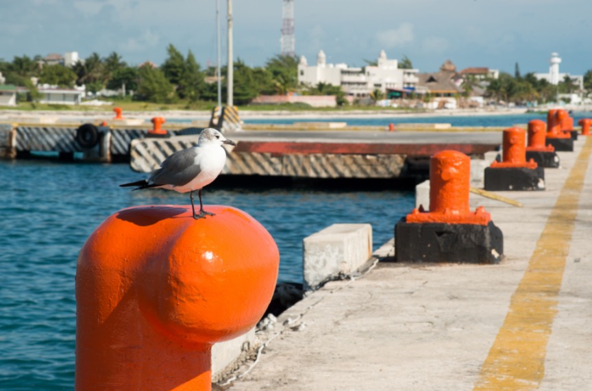 Apiqroo invertirá 3 mdp para modernizar oficinas en Puerto Morelos