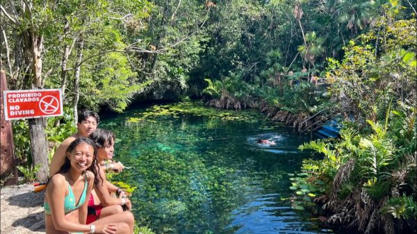 Cenotes de Tulum alcanzan hasta 80% de ocupación tras semanas de baja afluencia. Prestadores confían en estabilidad durante marzo y abril.