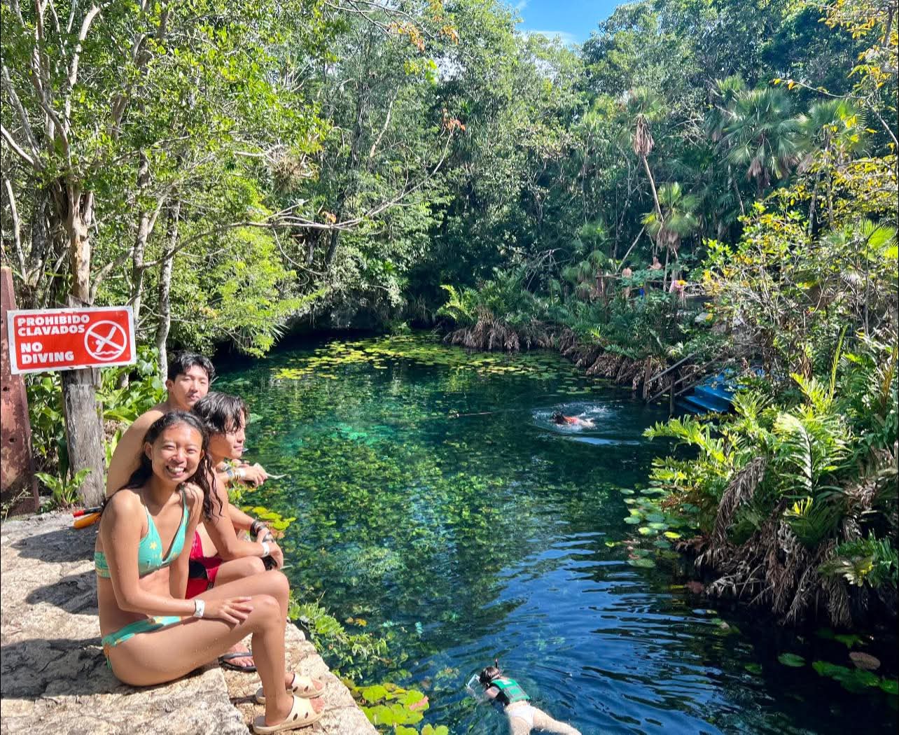 Cenotes de Tulum alcanzan hasta 80% de ocupación tras semanas de baja afluencia. Prestadores confían en estabilidad durante marzo y abril.