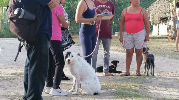 Alertan por robos en Playa 72 de Playa del Carmen