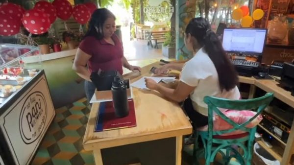 Integran 16 expedientes por incumplimiento de la Ley Silla en Quintana Roo