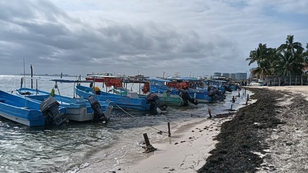 Cierran puerto a embarcaciones menores en Puerto Juárez por frente frío 37