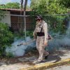 Dengue repunta 43.7% en Quintana Roo y enciende alerta sanitaria