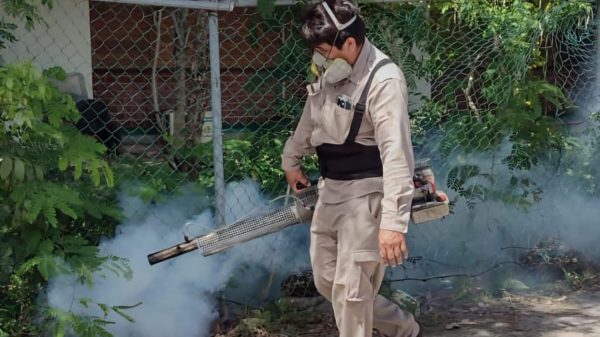 Dengue repunta 43.7% en Quintana Roo y enciende alerta sanitaria