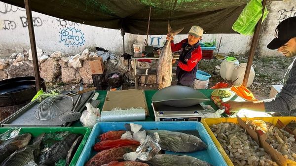 Unión de Tianguis y Comerciantes Ambulantes del Estado de Quintana Roo