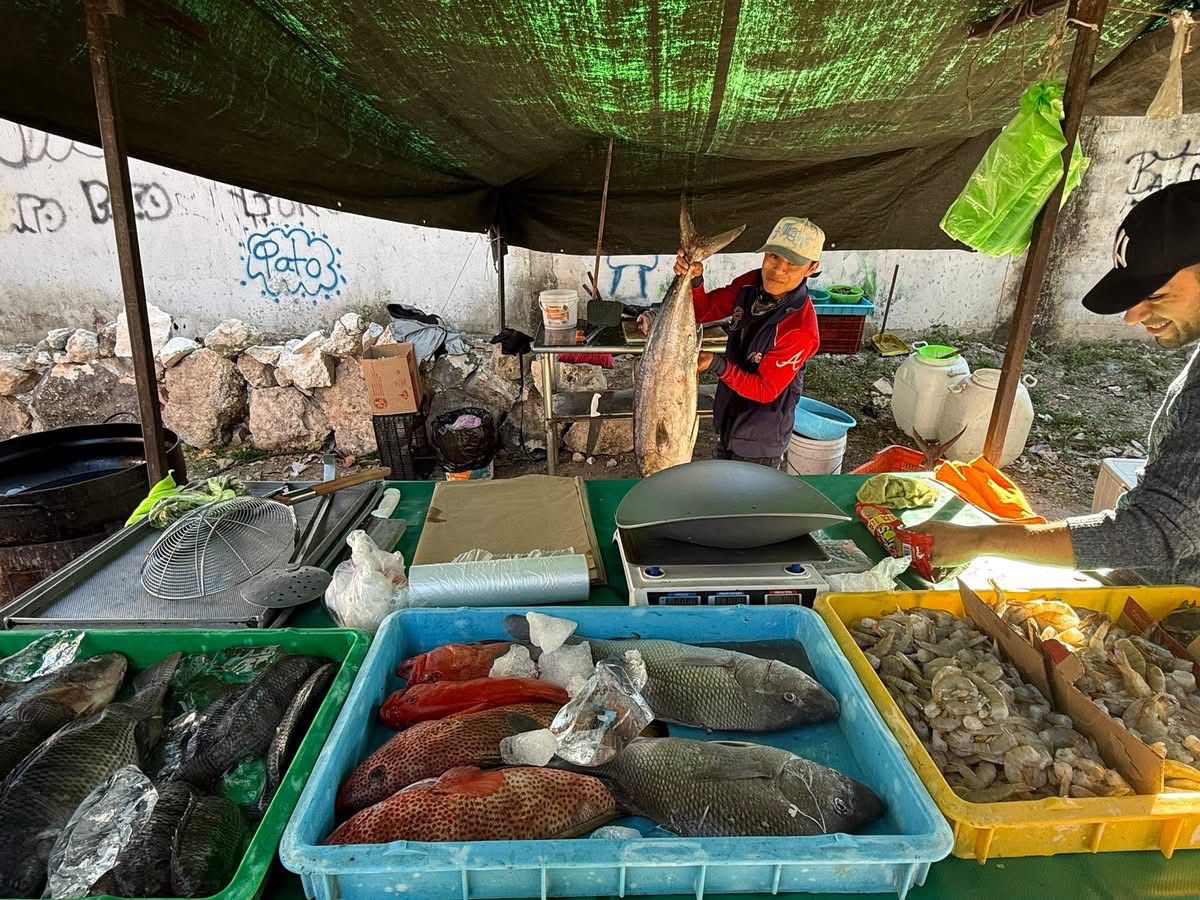 Unión de Tianguis y Comerciantes Ambulantes del Estado de Quintana Roo