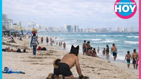Imagen de persona caracterizada como perro en Playa Delfines genera reacciones