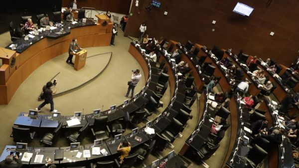 Senado autoriza el ingreso de Navy SEALs a México para el adiestramiento conjunto