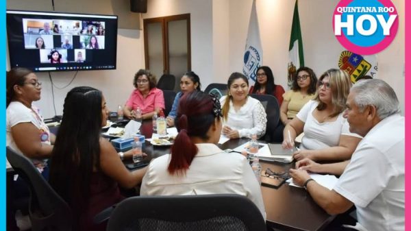 Rezago legal y falta de peritos frenan los casos de violencia vicaria en Q. Roo