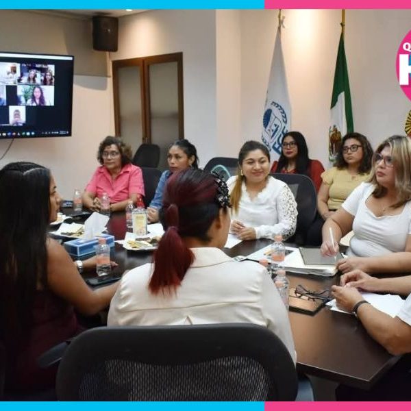 Rezago legal y falta de peritos frenan los casos de violencia vicaria en Q. Roo