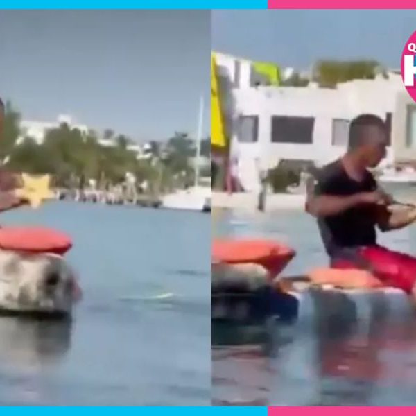 Captan a pescador extrayendo estrellas de mar en playa de Cancún