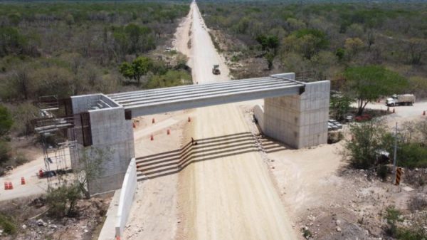 Suspenden las obras del tramo 5 del Tren Maya por daños ambientales