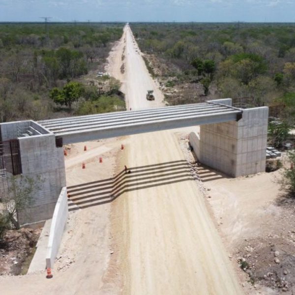 Suspenden las obras del tramo 5 del Tren Maya por daños ambientales
