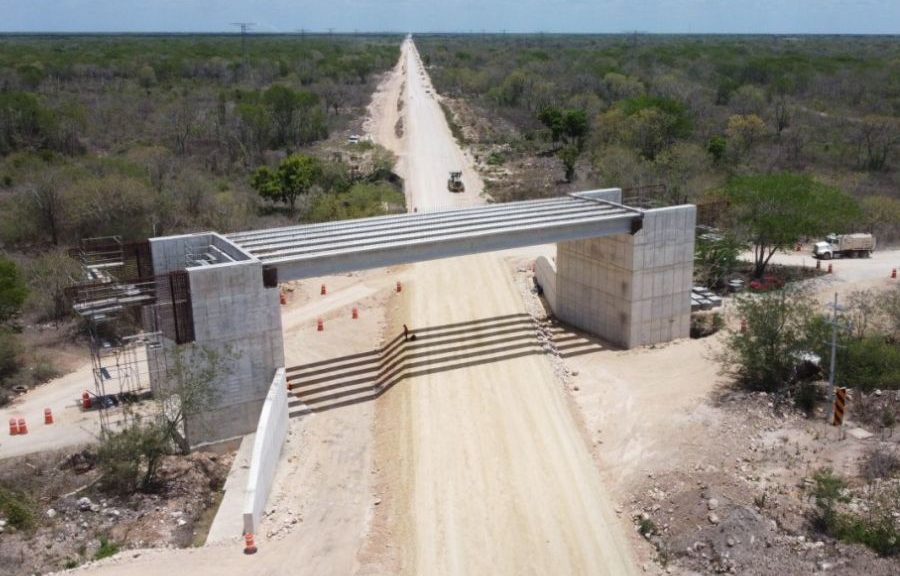 Suspenden las obras del tramo 5 del Tren Maya por daños ambientales