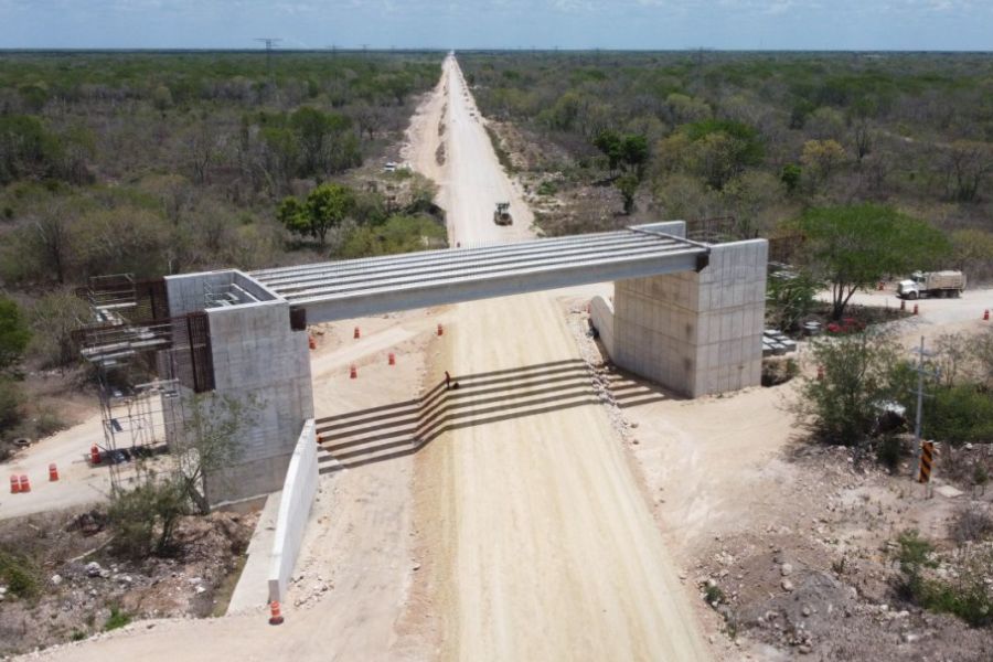 Suspenden las obras del tramo 5 del Tren Maya por daños ambientales
