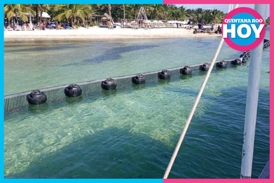 Playas de Mahahual sin sargazo rumbo a Semana Santa