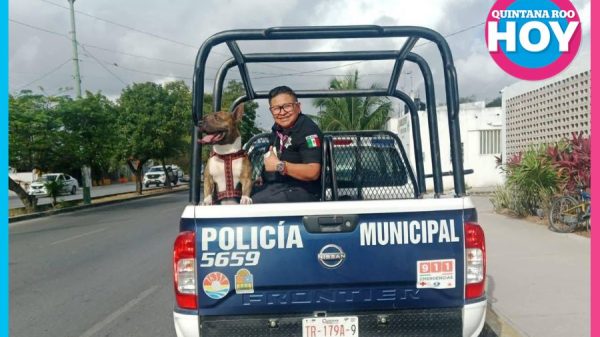 Policías rescatan a perrito extraviado en calles de Cancún