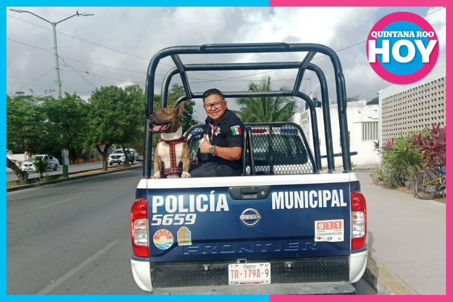 Policías rescatan a perrito extraviado en calles de Cancún