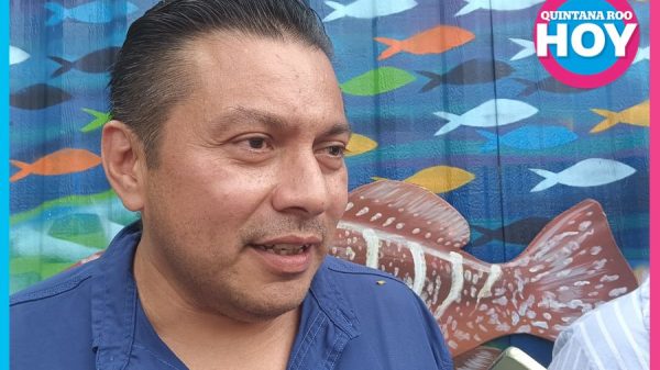 Detectan 25% de embarcaciones turísticas piratas