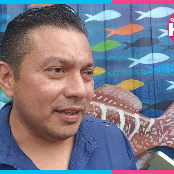 Detectan 25% de embarcaciones turísticas piratas