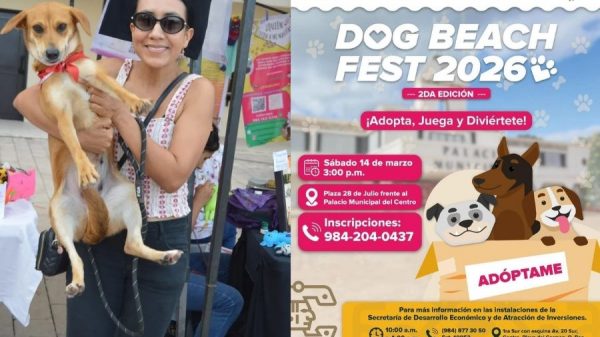 Éxito total del Dog Beach Festival en Playa del Carmen