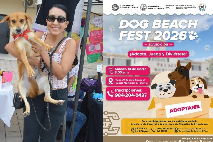 Éxito total del Dog Beach Festival en Playa del Carmen