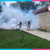 Quintana Roo suma 41 casos de dengue y refuerza vigilancia