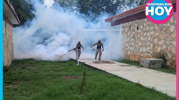 Quintana Roo suma 41 casos de dengue y refuerza vigilancia