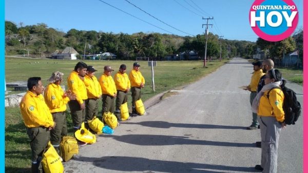 SEMA y CONAFOR refuerzan brigadas contra incendios