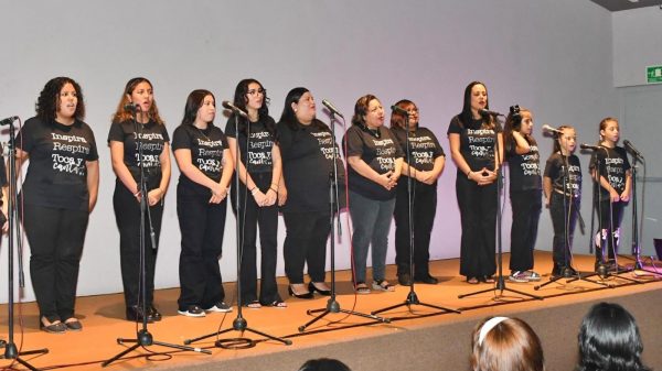 FPMC realizará actividades culturales por la igualdad en Cozumel