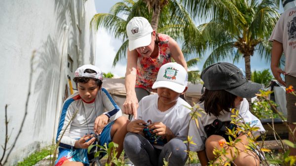 FPMC impulsa la protección de la mariposa monarca en Cozumel