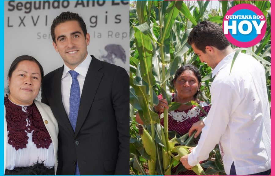 El Senado aprobó una iniciativa impulsada por el senador Eugenio Segura para fortalecer los derechos de las mujeres rurales y promover su acceso a tierra, créditos y programas productivos.