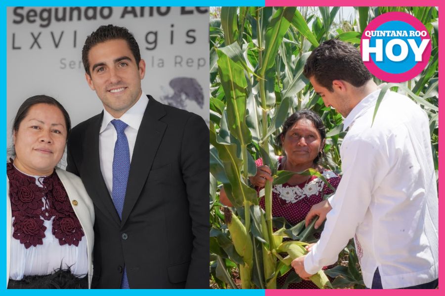 El Senado aprobó una iniciativa impulsada por el senador Eugenio Segura para fortalecer los derechos de las mujeres rurales y promover su acceso a tierra, créditos y programas productivos.