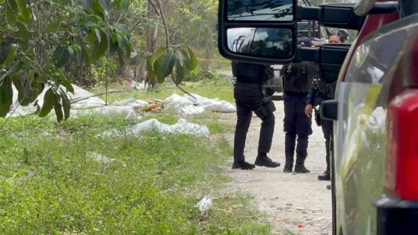 Macabro hallazgo en Cancún: restos dentro de un refrigerador