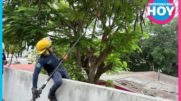Hasta 15 ciclones amenazan el Atlántico en 2026; Quintana Roo se blinda con más de 800 refugios