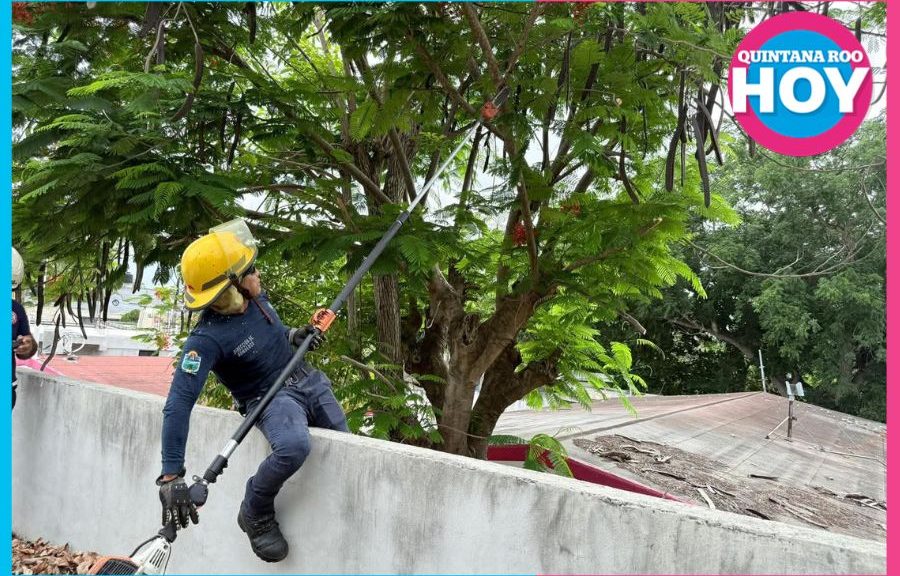Hasta 15 ciclones amenazan el Atlántico en 2026; Quintana Roo se blinda con más de 800 refugios