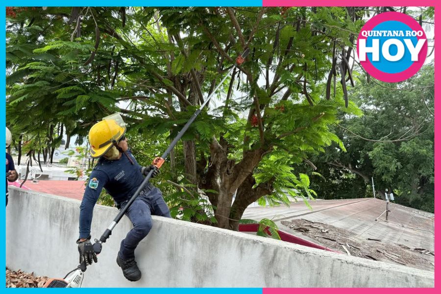 Hasta 15 ciclones amenazan el Atlántico en 2026; Quintana Roo se blinda con más de 800 refugios