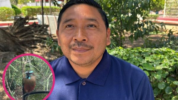 Alerta por pérdida de saberes mayas en Kantunilkín