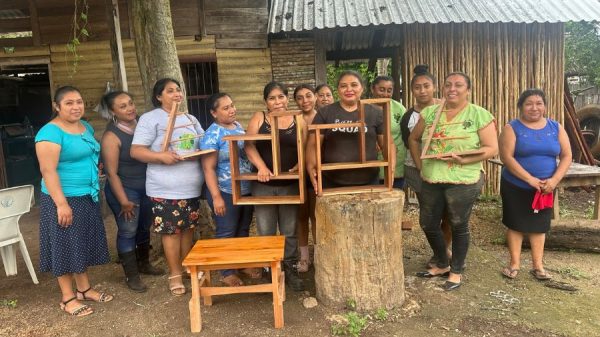 Mujeres mayas lideran proyecto forestal en Carrillo Puerto